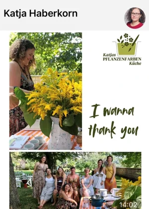 feedback retreat_Katja_Haberkorn_1