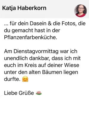 feedback retreat_Katja_Haberkorn_2